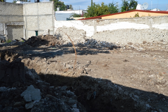 We talked to this neighbor before tearing down her wall.